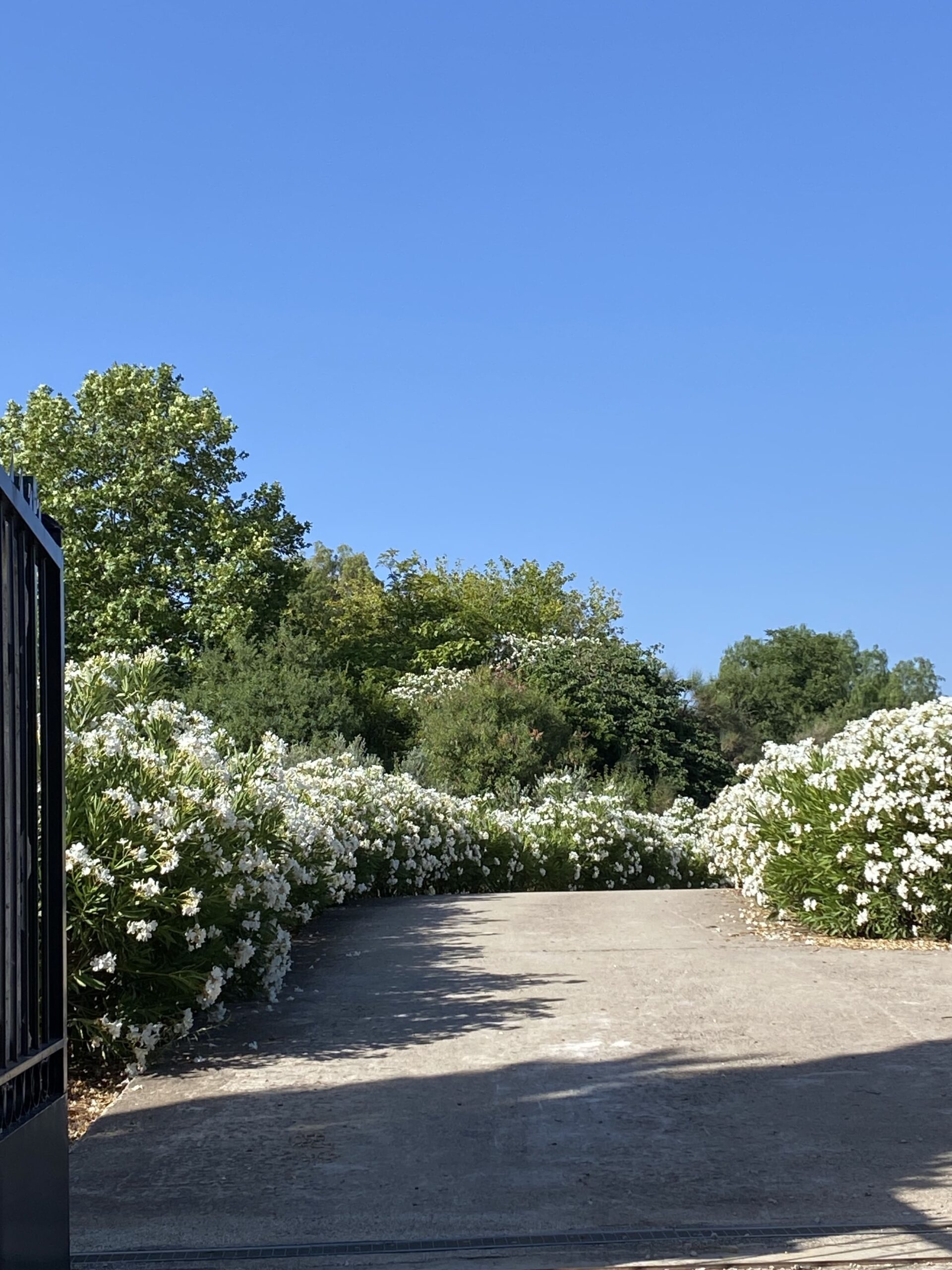 Auffahrt zur Finca Los Almendros in Andalusien