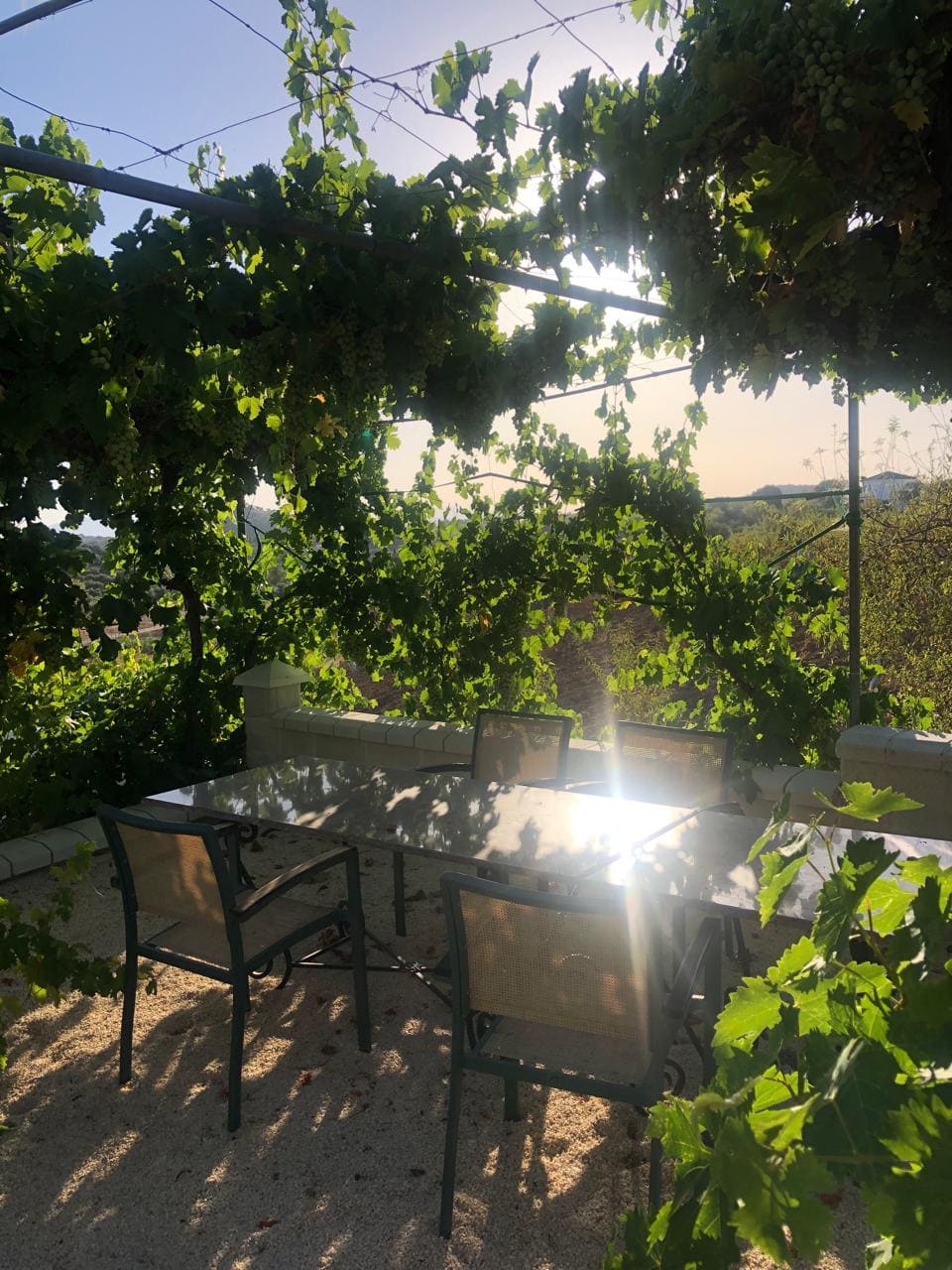 Pergola in Los Almendros
