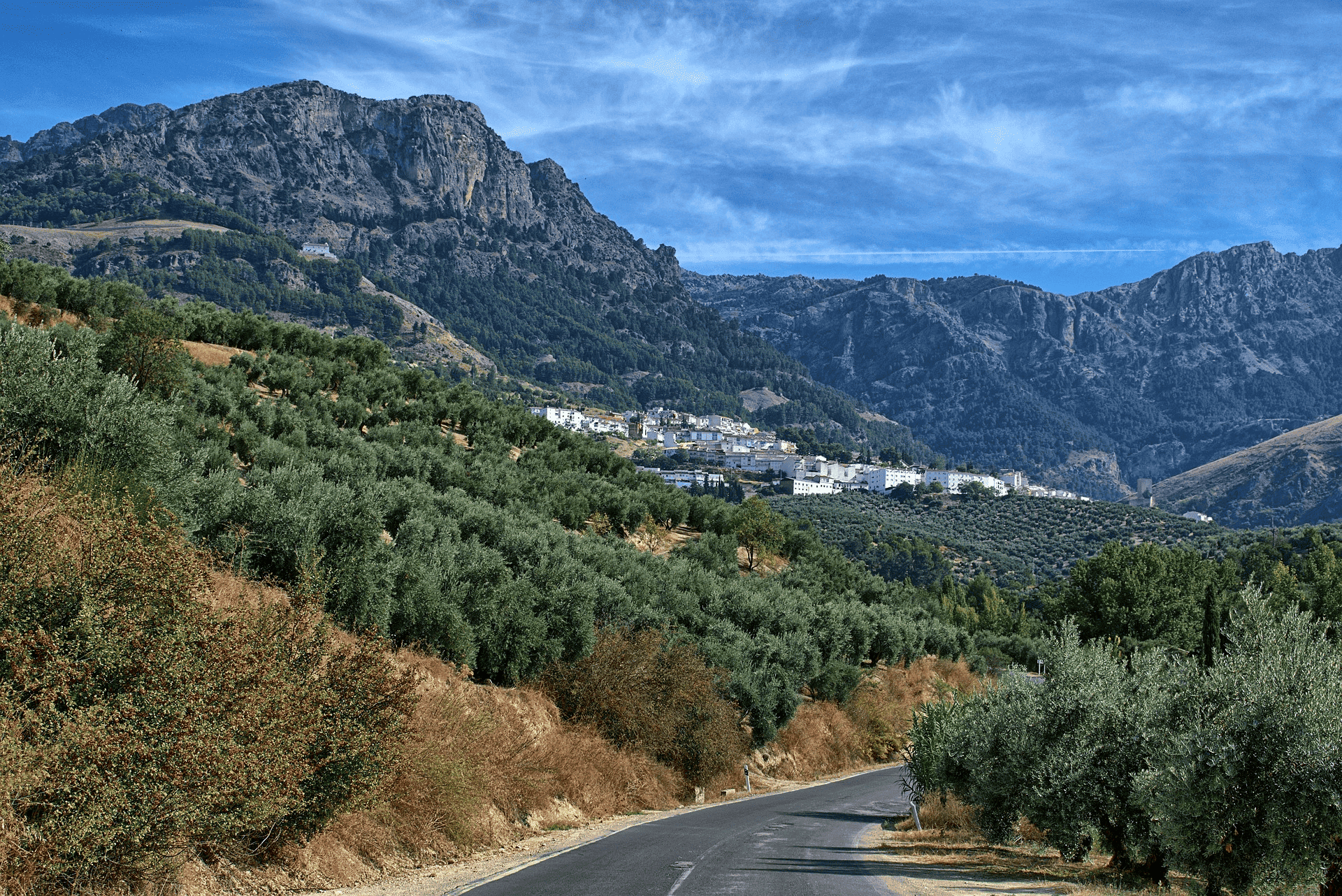 Fahrt nach Los Almendros Andalusien